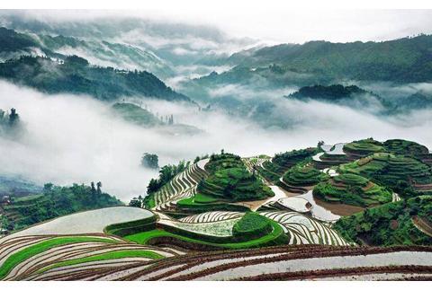 世界人工栽培的发源地，广西最雄伟大气的梯田，四季景色都不同