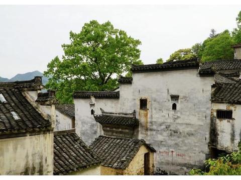 探秘安徽深山里的无人村，堪称世外桃源，一北京小哥隐居在此