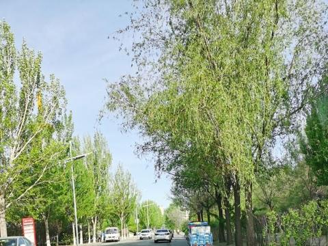 简易电动车可以合法上路吗？