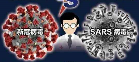 重大突破!科学家研究成果令人振奋:SARS