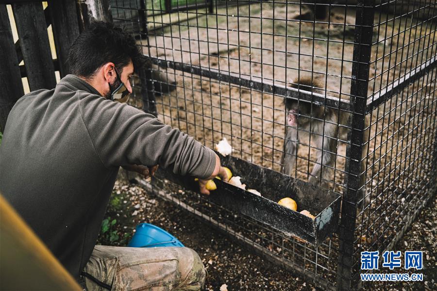 荷兰球星-乐鱼app(leyu)官方网站-乐鱼官网