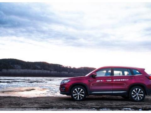 【偃师众鑫长安】鸟粪掉爱车上了，如何清理掉？