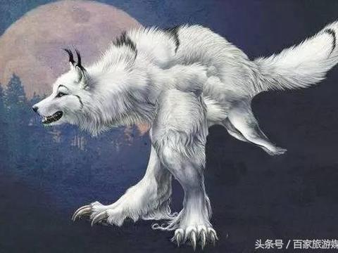 “狼狈为奸”,真有狈这一动物吗?...