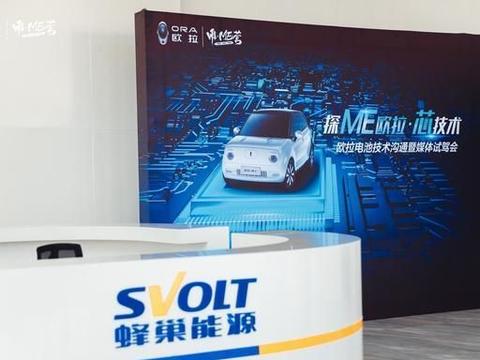 新能源车该怎么走？王凤英：唯“里程论”的补贴标准需改变