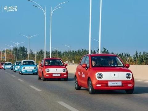 长城汽车王凤英出手，为促进小型电动车发展支招？