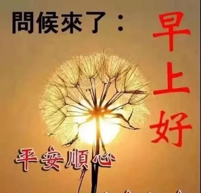 清早精辟简短的早安问候语大全,最美的早上好祝福表情