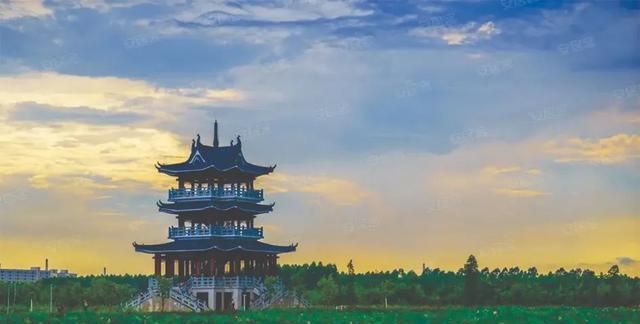 广东国际学校排名_中国国际学校数量超过884所广东学校年增量居全国首