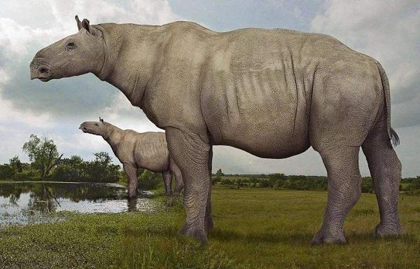 10种已灭绝的史前哺乳动物,它们有多大?看看它们与人的比例图