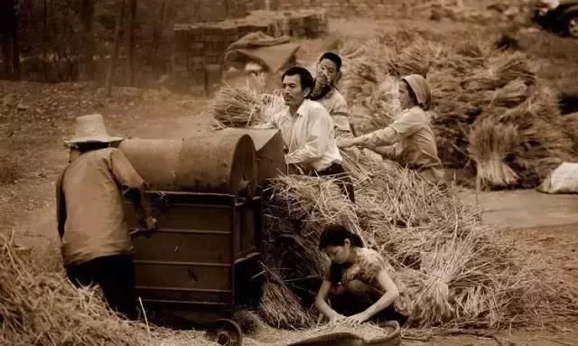 农村麦收老照片,原来是这样?那代农民已经老了!满满的