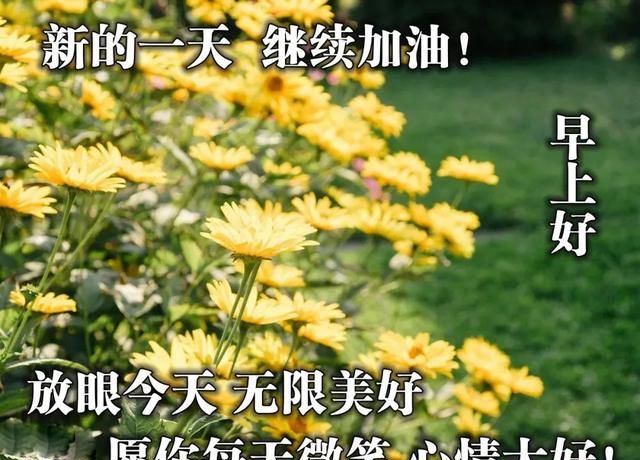 非常好看的早上好问候语动表情图片 最美早安祝福问候