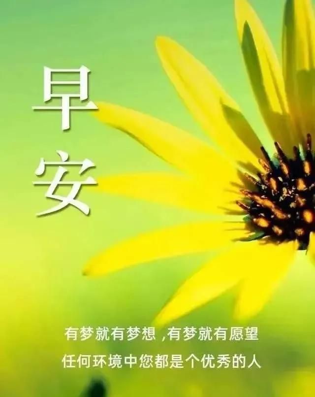 非常好看的早上好问候语动表情图片 最美早安祝福问候