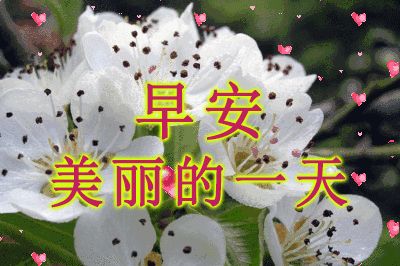 非常好看的早上好问候语动表情图片 最美早安祝福问候