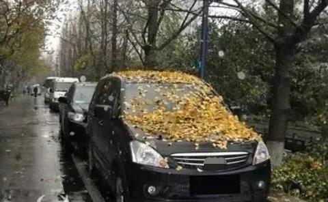 爱车处于长时间闲置的状态，怎么保养才更划算呢？