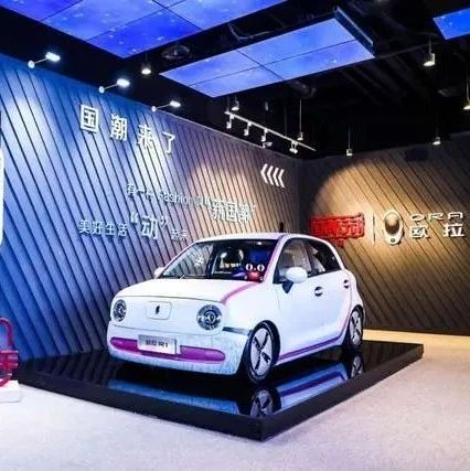 王凤英代表的两会提案，给