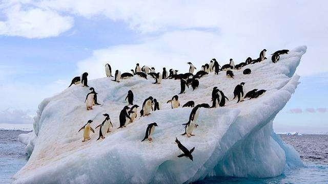 霍金说2035年丧尸病毒会
暴发是真的吗？