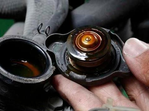 水箱流出泰式奶茶？水冷机车必学DIY水箱精排空