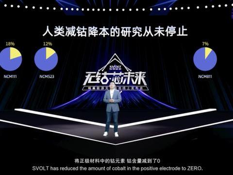 国产电池通过欧美严苛标准检验，欲进军海外，反哺长城汽车？