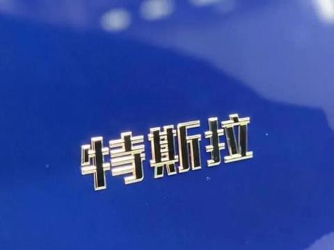 国家政策是帮助特斯拉干死国内纯电车？