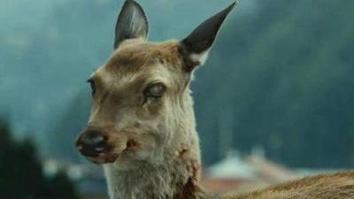 霍金说2035年丧尸病毒会
暴发是真的吗？