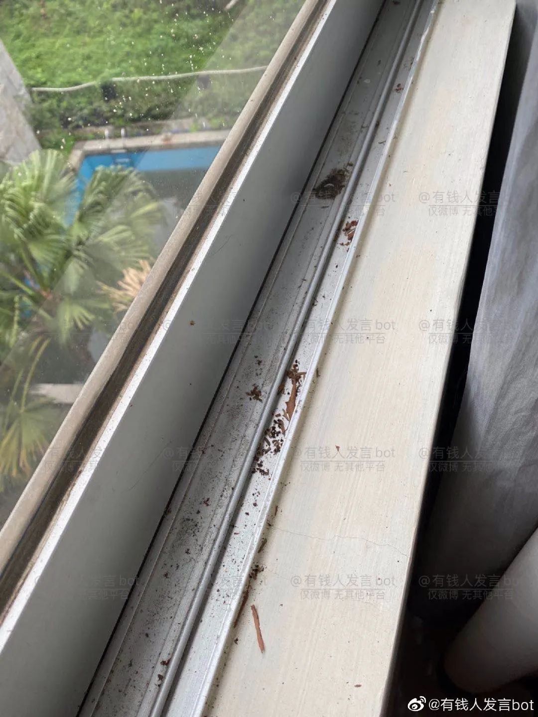 留学生回国遭遇卫生不过关隔离酒店，想回国什么时候成了原罪？