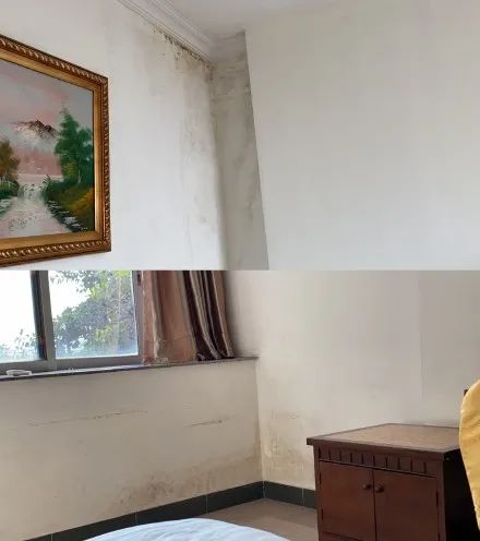 留学生回国遭遇卫生不过关隔离酒店，想回国什么时候成了原罪？