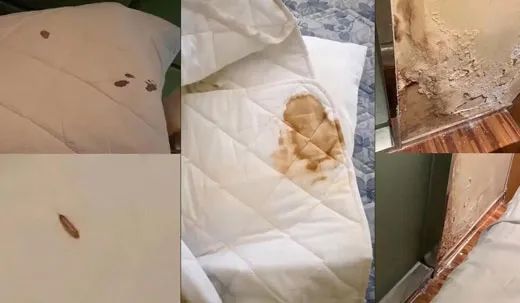 留学生回国遭遇卫生不过关隔离酒店，想回国什么时候成了原罪？