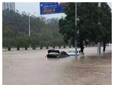 暴雨过后广州新能源车主哭了，网友：自己选的车推着也要继续开！