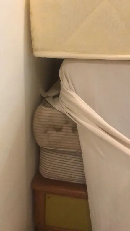 留学生回国遭遇卫生不过关隔离酒店，想回国什么时候成了原罪？