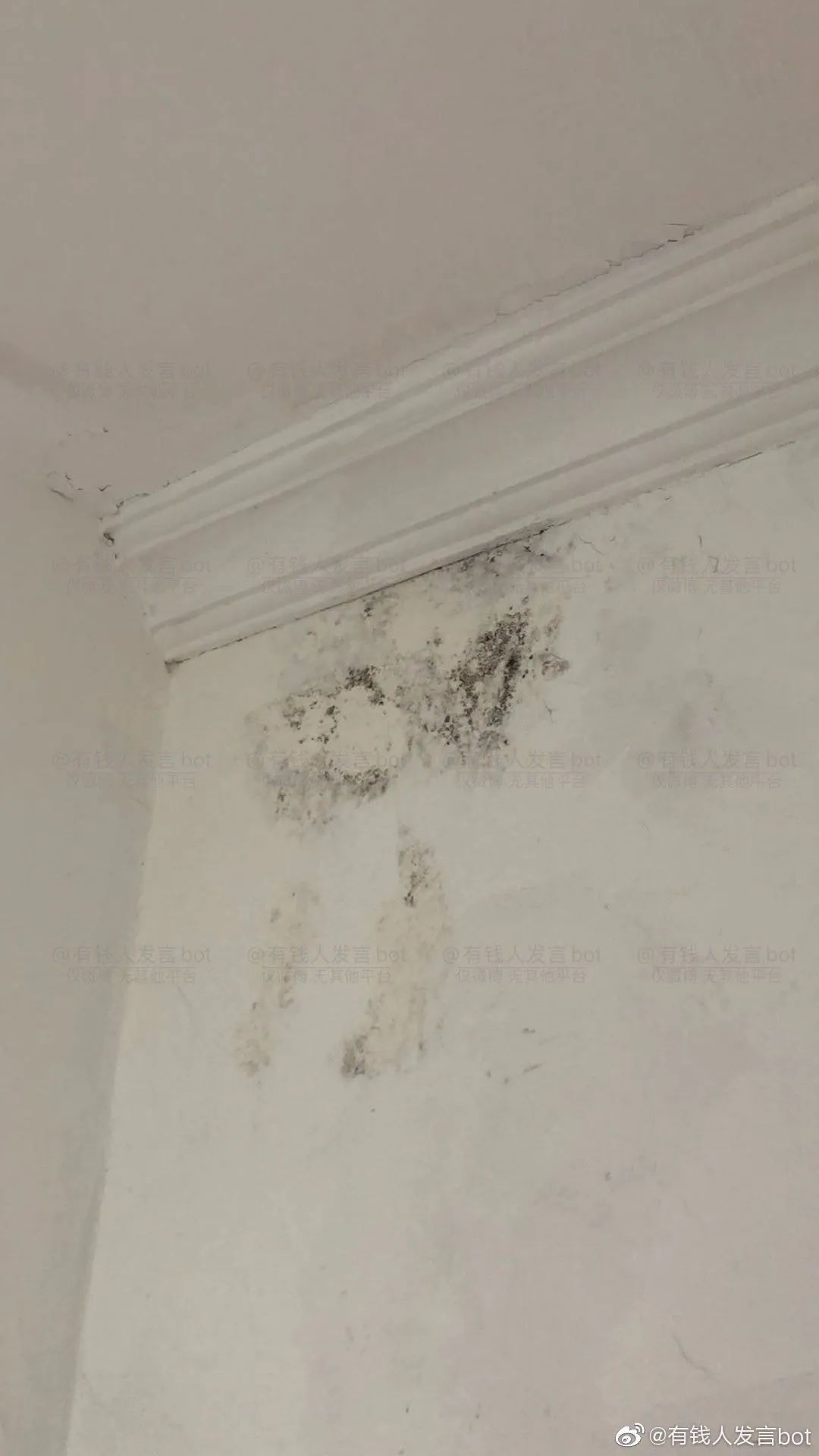 留学生回国遭遇卫生不过关隔离酒店，想回国什么时候成了原罪？