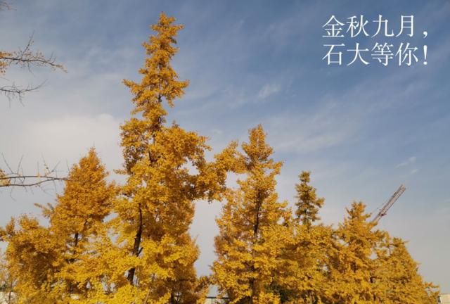 她投身于有机化学专业,获奖无数