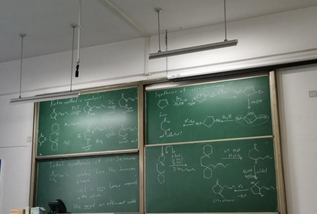 她投身于有机化学专业,获奖无数