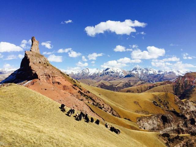 西部强强对话快船勇士上演攻防大战