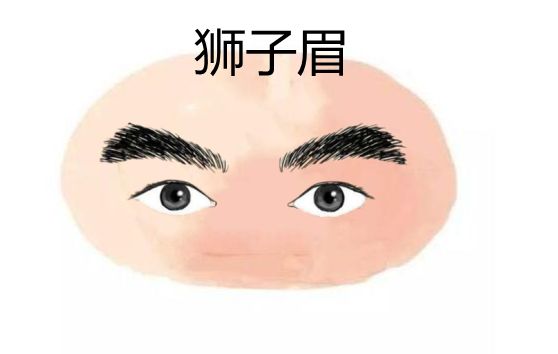 狮子眉