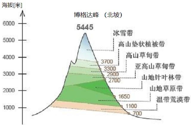 扬言羚羊早报：南充约学生渠道是什么？有效使用南充约学生渠道的技巧和推荐
