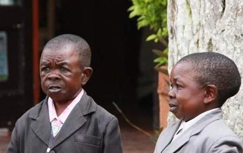 俾格米人10岁生育之谜 非洲矮人族群奇特生活