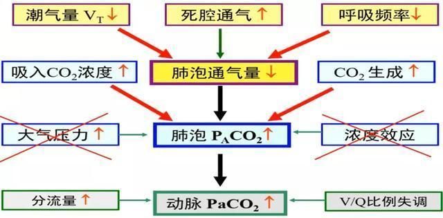 薛张纲教授:呼吸性酸中毒病例两例