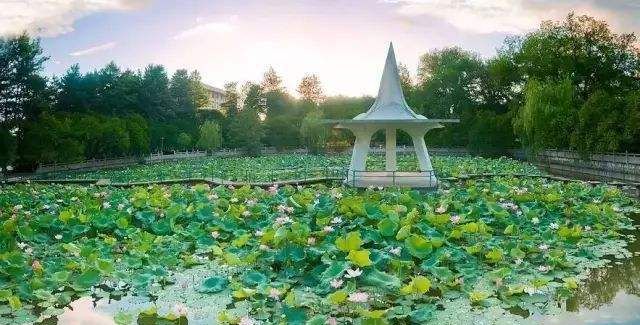 江西理工校友会排名_权威发布|江西理工大学学生返校通知②