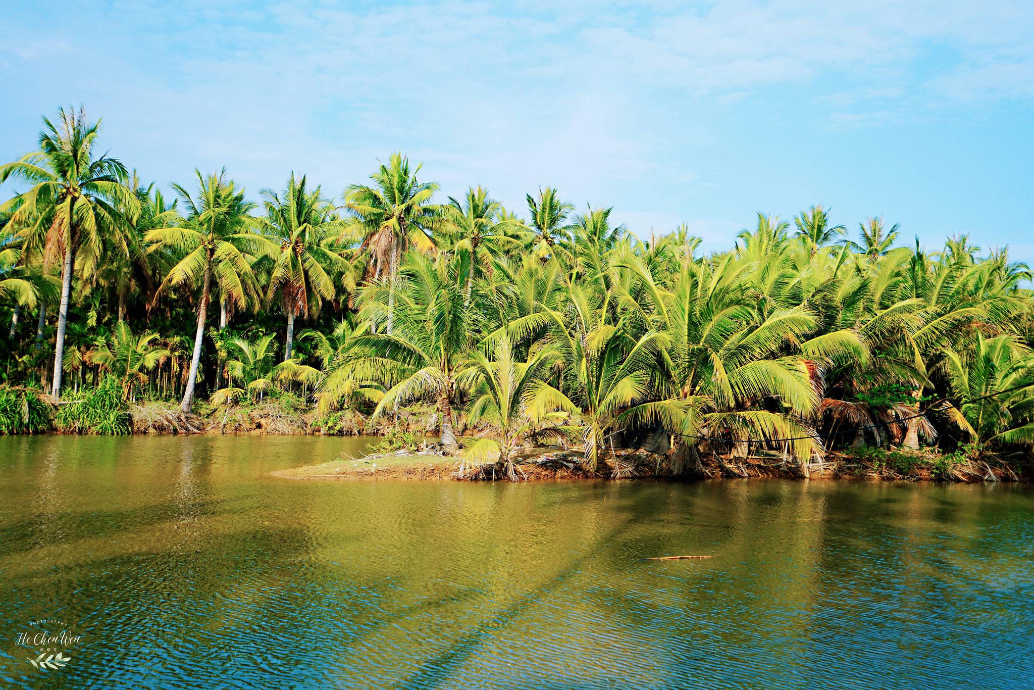 海南椰林风光推荐 东郊椰林旅游攻略