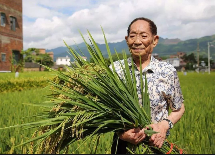 孟加拉面积和人口_孟加拉国人口之困小国大人口,面积和山东差不多,却比俄罗