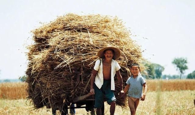 这些农忙时的珍贵老照片,农村人感触最深|90后|麦子