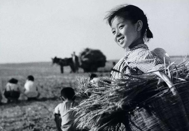 这些农忙时的珍贵老照片,农村人感触最深|90后|麦子