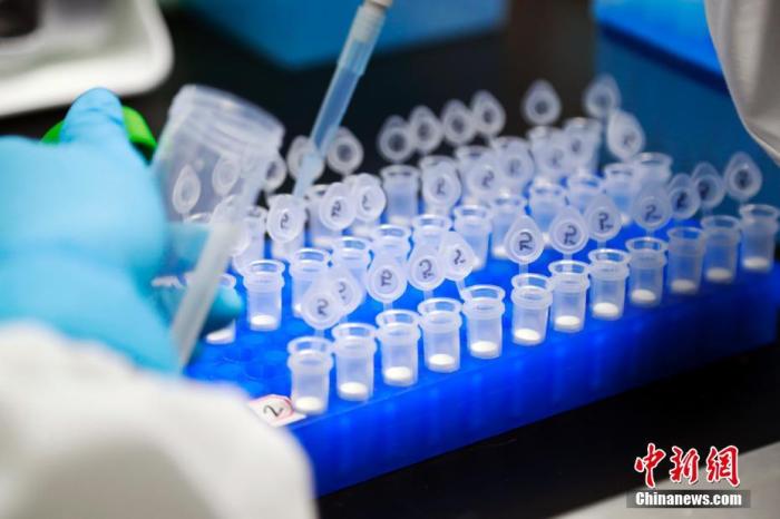 新型病毒人口_新型冠状病毒图片(3)
