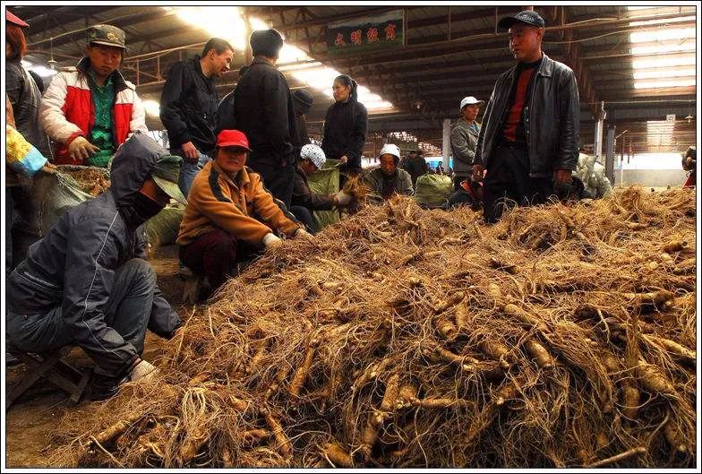 医药行业摆地摊手册