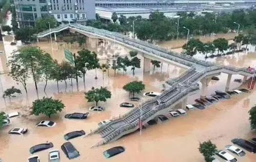 广州暴雨后,车主为防淹齐秀神招,网友:九年义务教育真没白上