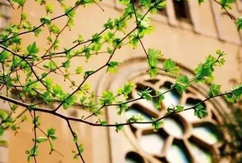 快乐是由于他计较的少的原因吗?