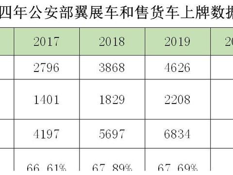 连续四年市占率超六成 我国地摊儿经济神车原来是TA！！！