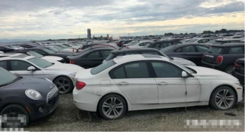 3000辆宝马停港口，身为豪车却坐等腐烂，网友：简直是暴殄天物！