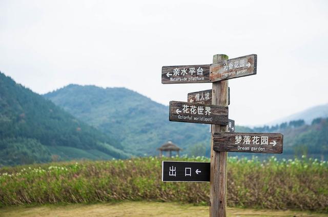 江浙沪周末的好去处，蒸汽小火车载你环游花海，超适合拍文艺照片