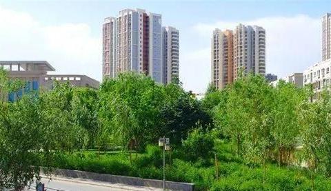 新疆库尔勒医院疫情死亡事件最新通报