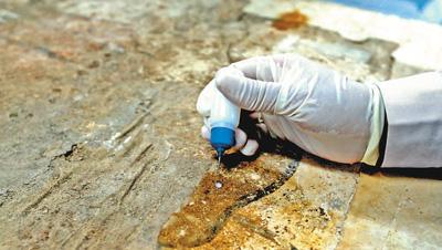 《五牛图》修复中现多处破洞,这位大师用“妙招”,将其复原成功